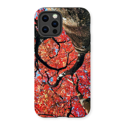 Autumn Blaze: Japanese Maple in Full Glory Tough Phone Case