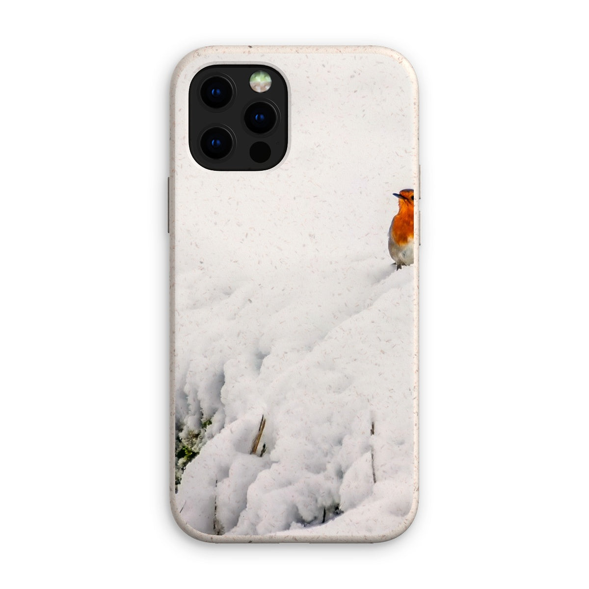 Robin in Winter Eco Phone Case