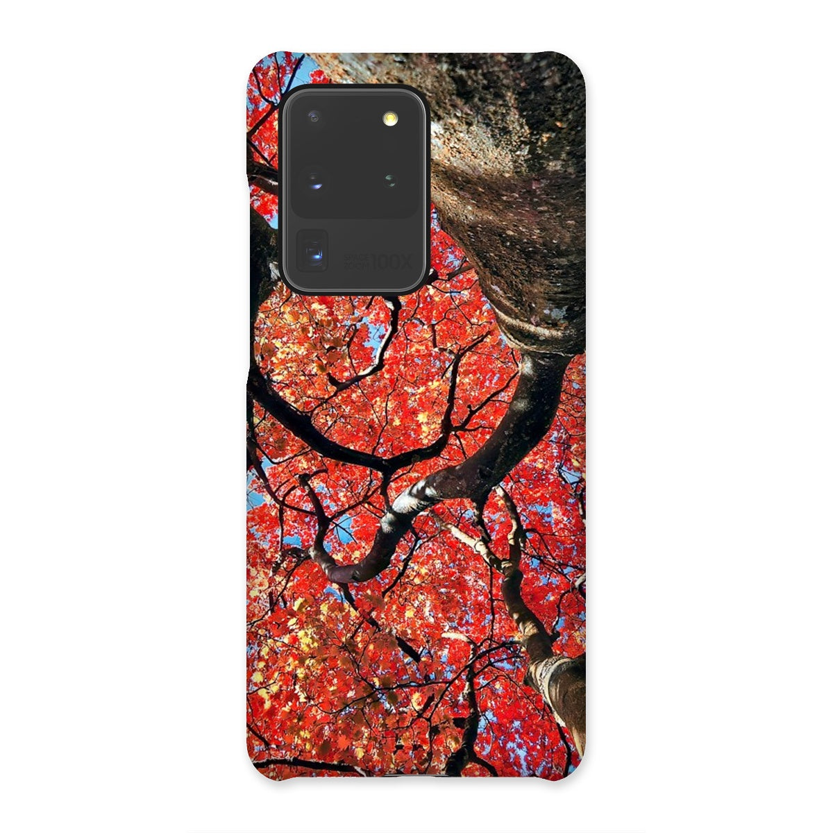 Autumn Blaze: Japanese Maple in Full Glory Snap Phone Case