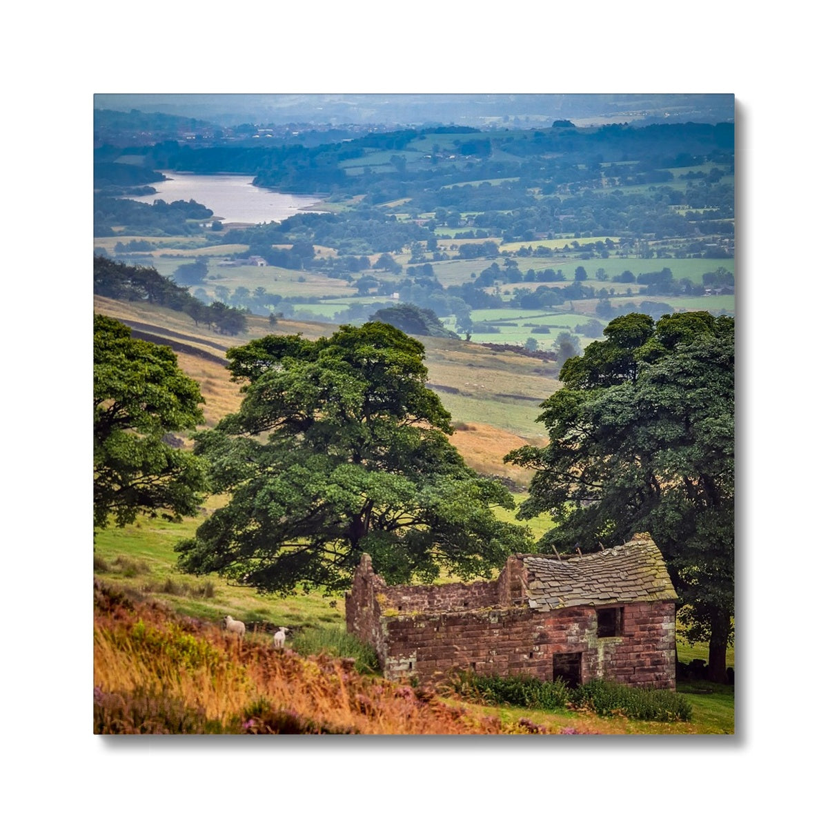 Overlooking Tittesworth Reservoir Canvas