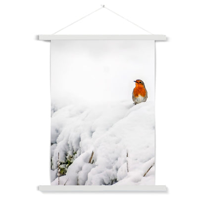 Robin in Winter Fine Art Print with Hanger