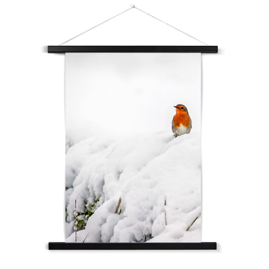 Robin in Winter Fine Art Print with Hanger