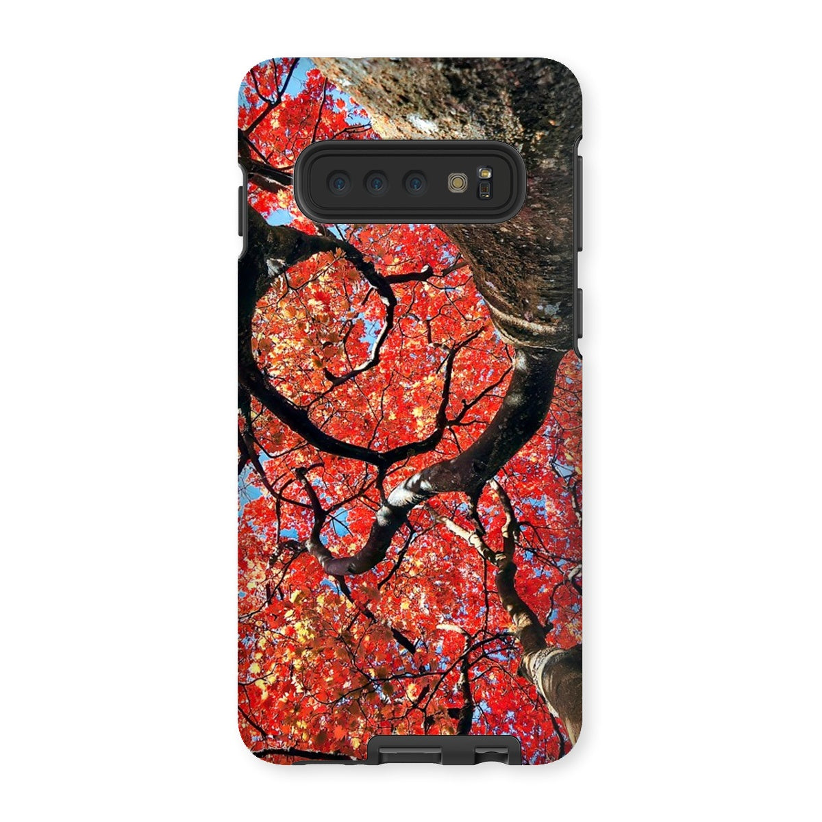 Autumn Blaze: Japanese Maple in Full Glory Tough Phone Case