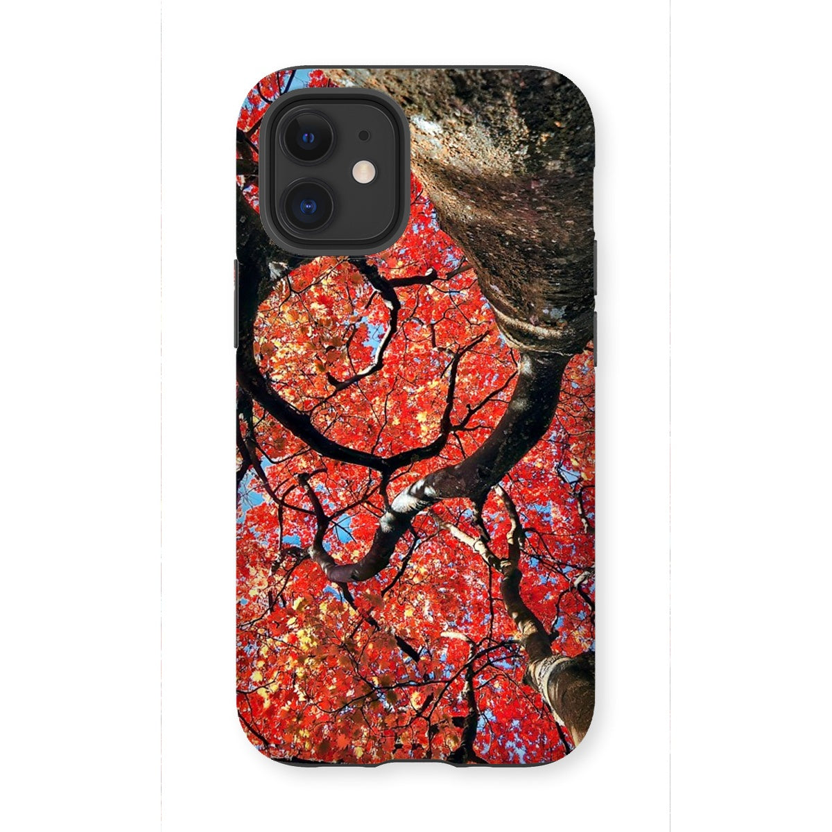 Autumn Blaze: Japanese Maple in Full Glory Tough Phone Case