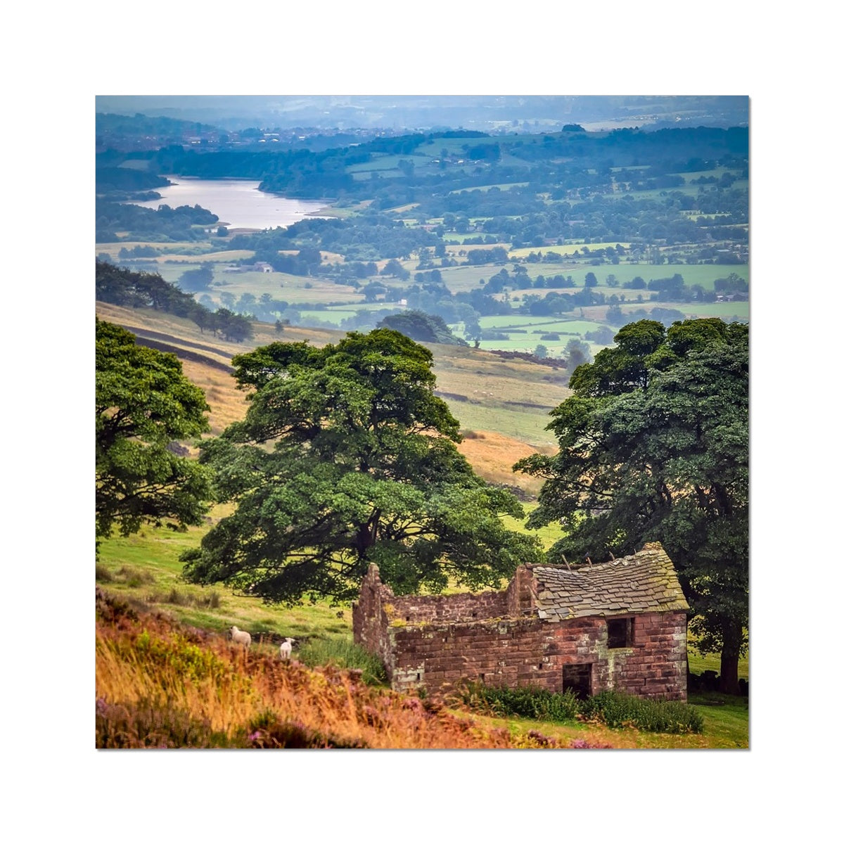 Overlooking Tittesworth Reservoir Fine Art Print