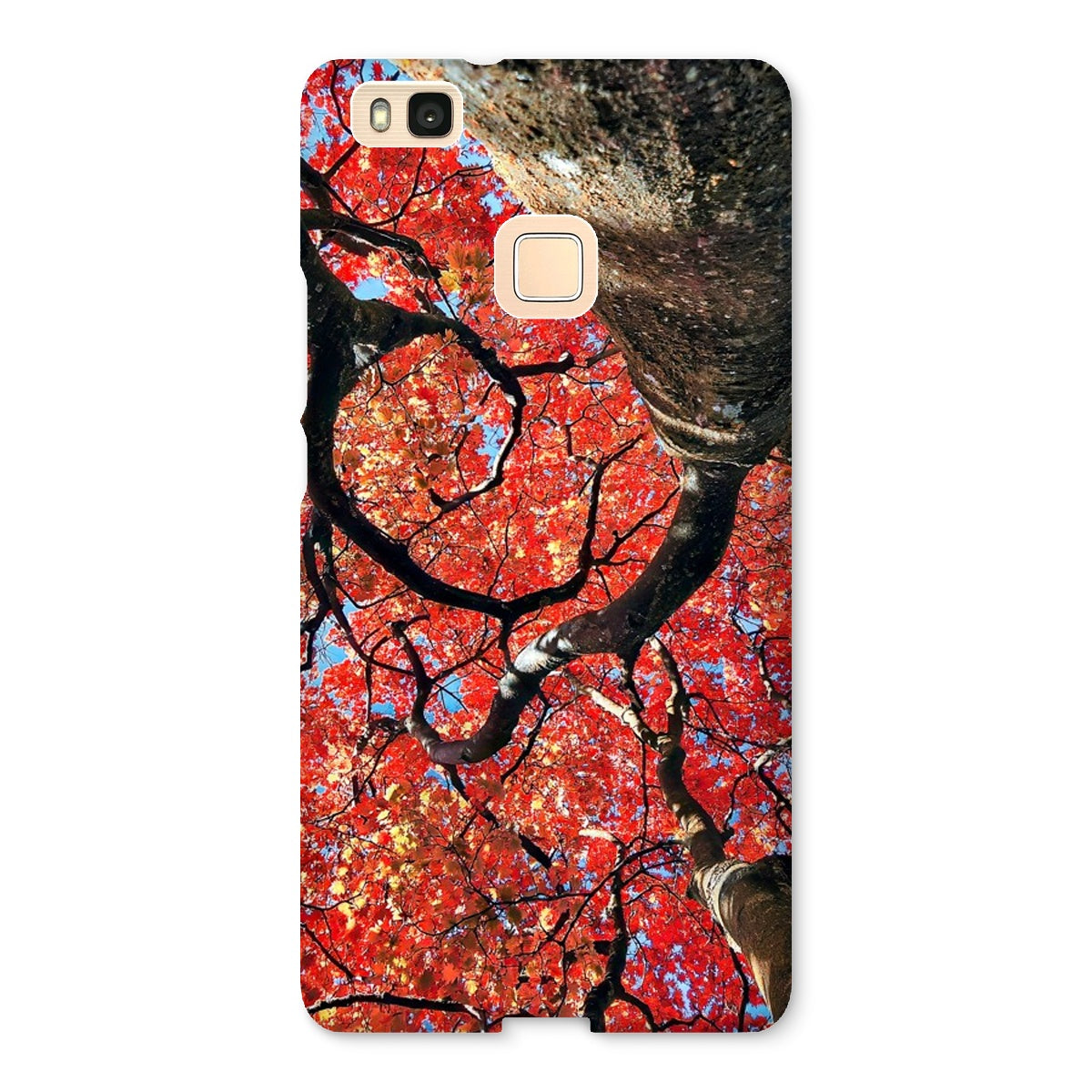 Autumn Blaze: Japanese Maple in Full Glory Snap Phone Case