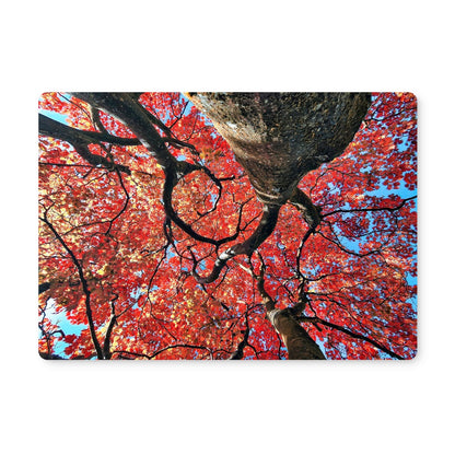 Autumn Blaze: Japanese Maple in Full Glory Placemat