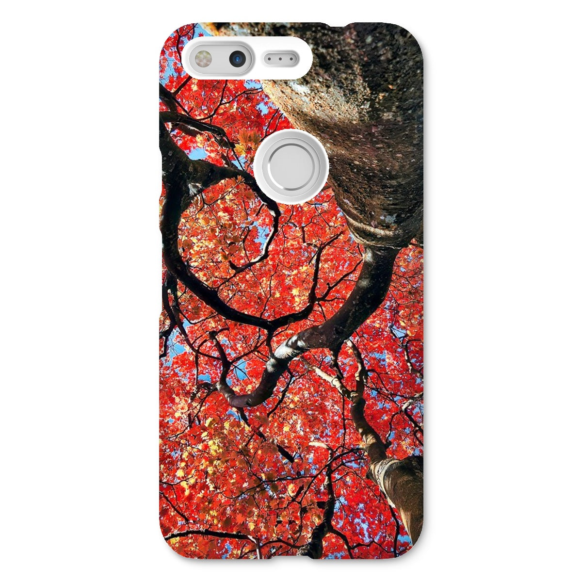 Autumn Blaze: Japanese Maple in Full Glory Snap Phone Case