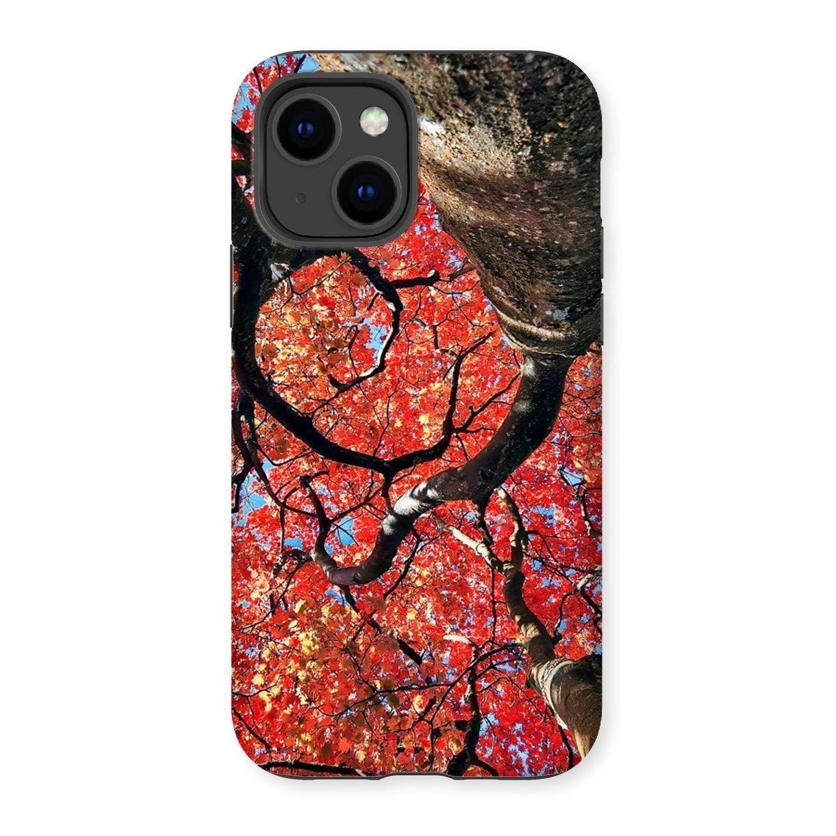 Autumn Blaze: Japanese Maple in Full Glory Tough Phone Case