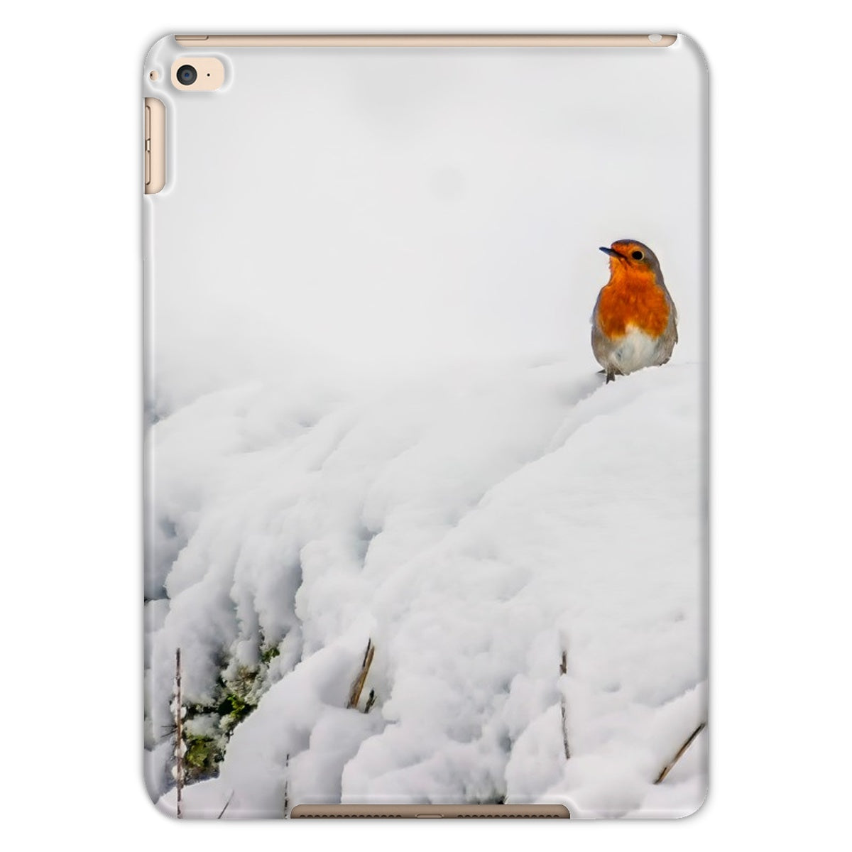 Robin in Winter Tablet Cases