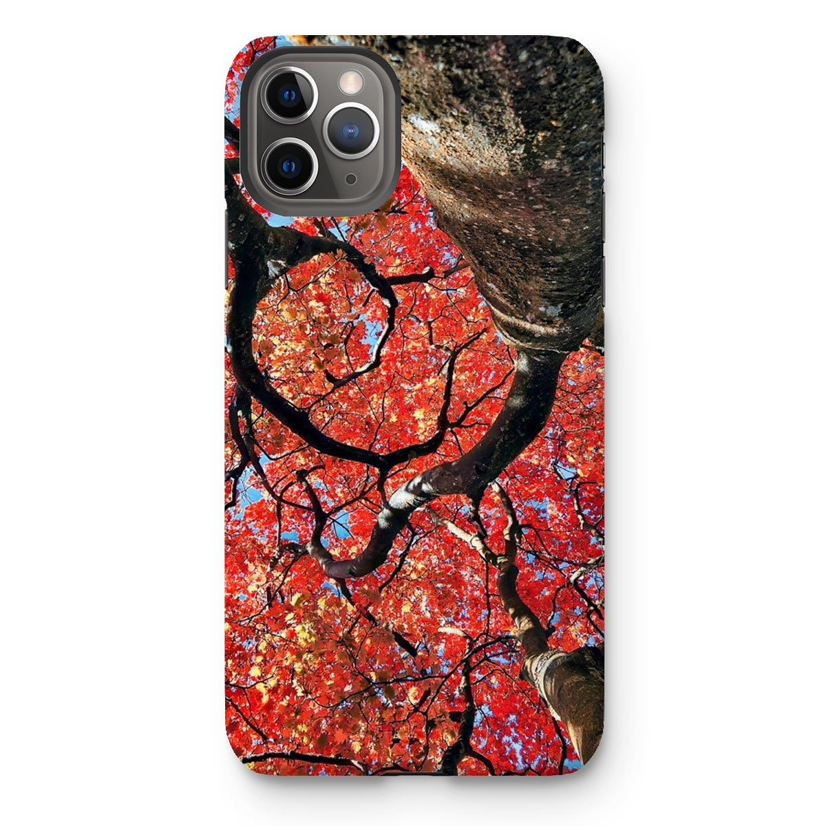 Autumn Blaze: Japanese Maple in Full Glory Tough Phone Case