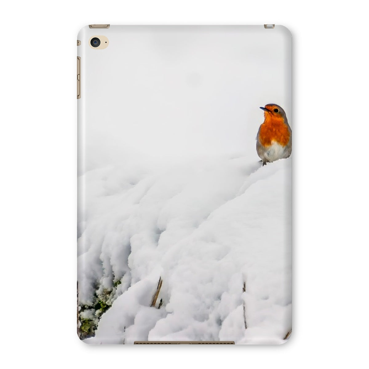 Robin in Winter Tablet Cases