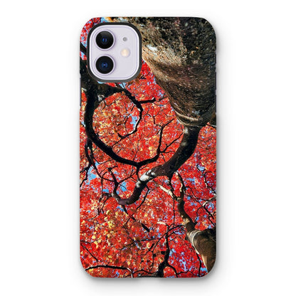 Autumn Blaze: Japanese Maple in Full Glory Tough Phone Case