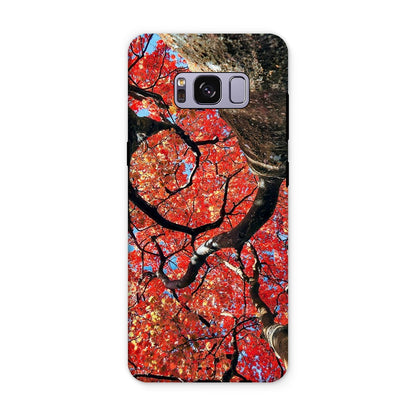 Autumn Blaze: Japanese Maple in Full Glory Tough Phone Case