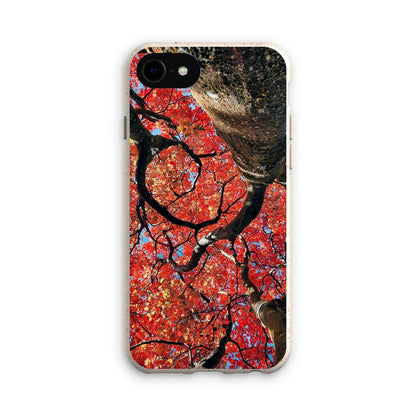 Autumn Blaze: Japanese Maple in Full Glory Eco Phone Case
