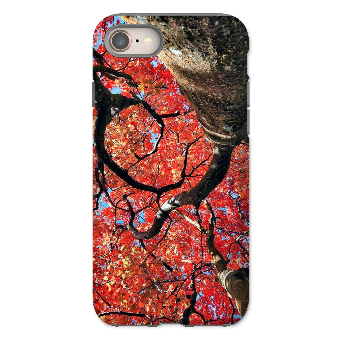 Autumn Blaze: Japanese Maple in Full Glory Tough Phone Case