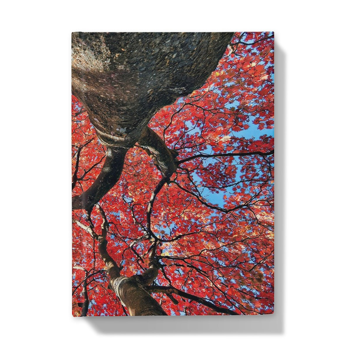 Autumn Blaze: Japanese Maple in Full Glory Hardback Journal