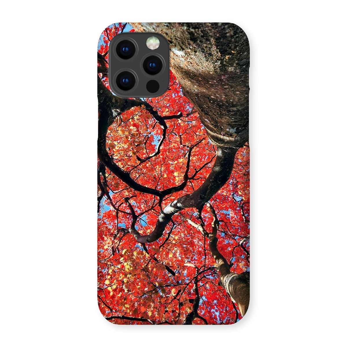 Autumn Blaze: Japanese Maple in Full Glory Snap Phone Case