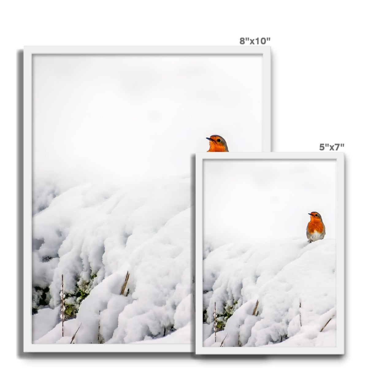 Robin in Winter Framed Photo Tile