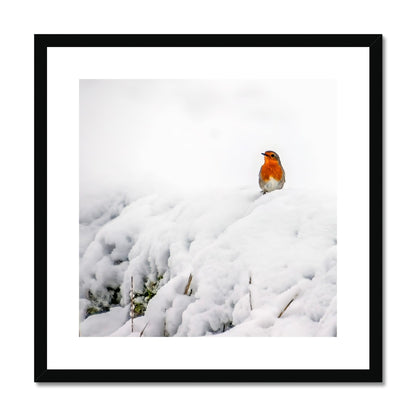 Robin in Winter Framed & Mounted Print