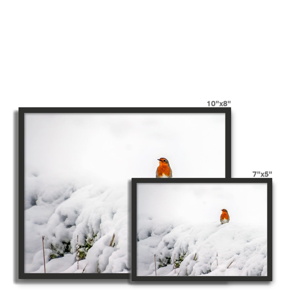 Robin in Winter Framed Photo Tile