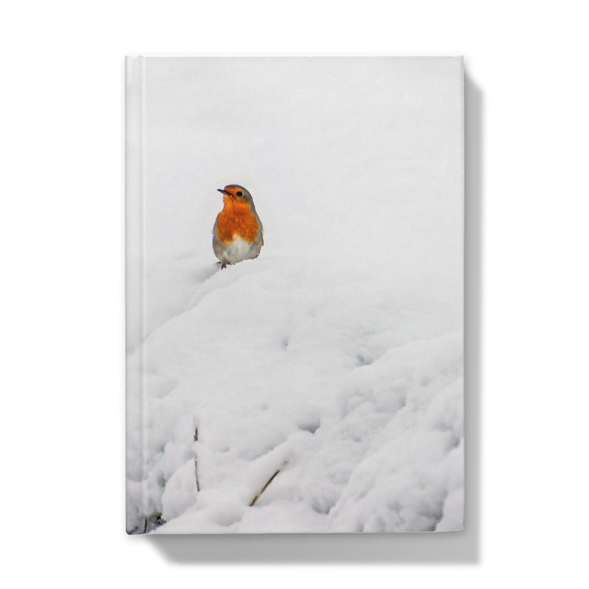 Robin in Winter Hardback Journal