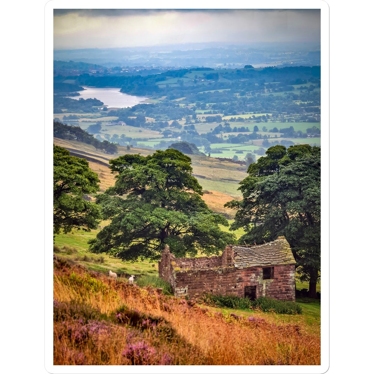 Overlooking Tittesworth Reservoir Sticker