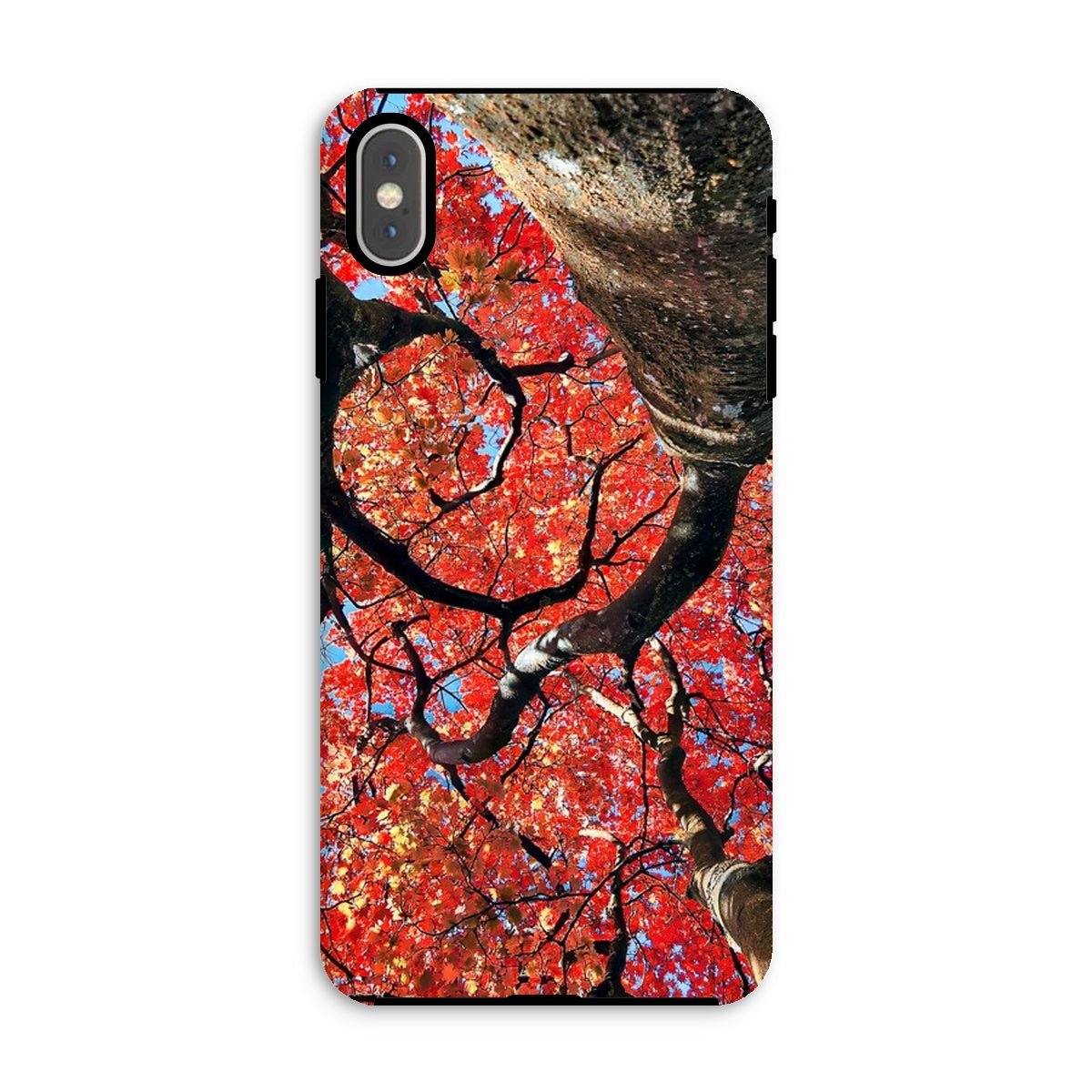 Autumn Blaze: Japanese Maple in Full Glory Tough Phone Case