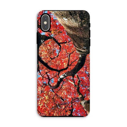 Autumn Blaze: Japanese Maple in Full Glory Tough Phone Case