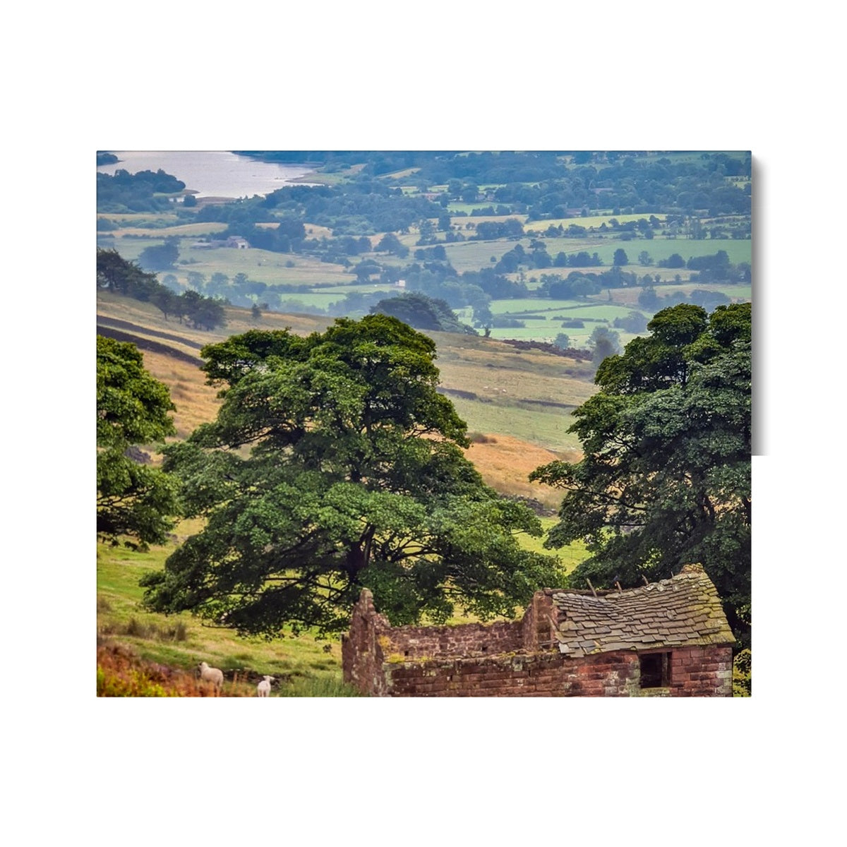 Overlooking Tittesworth Reservoir Canvas