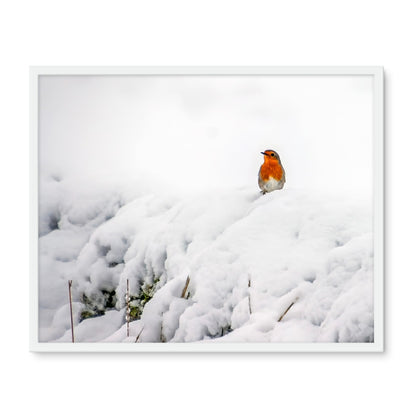 Robin in Winter Framed Photo Tile