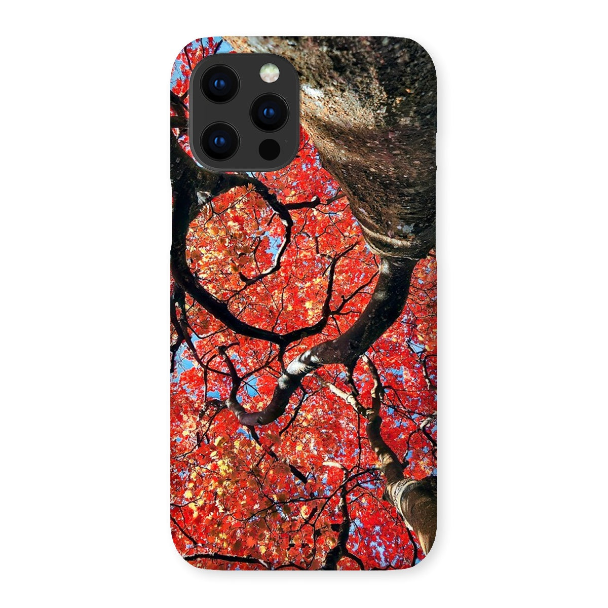 Autumn Blaze: Japanese Maple in Full Glory Snap Phone Case