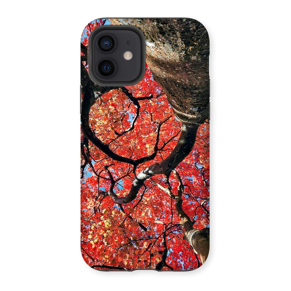 Autumn Blaze: Japanese Maple in Full Glory Tough Phone Case