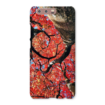 Autumn Blaze: Japanese Maple in Full Glory Snap Phone Case