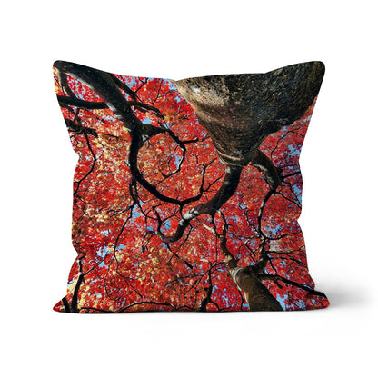 Autumn Blaze: Japanese Maple in Full Glory Cushion