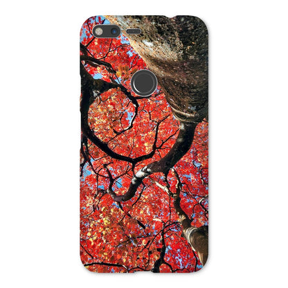 Autumn Blaze: Japanese Maple in Full Glory Snap Phone Case