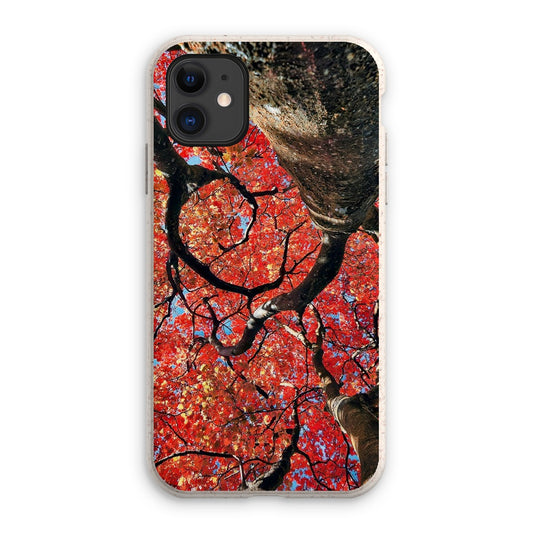 Autumn Blaze: Japanese Maple in Full Glory Eco Phone Case