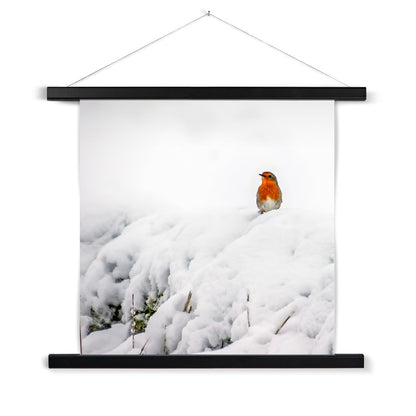 Robin in Winter Fine Art Print with Hanger