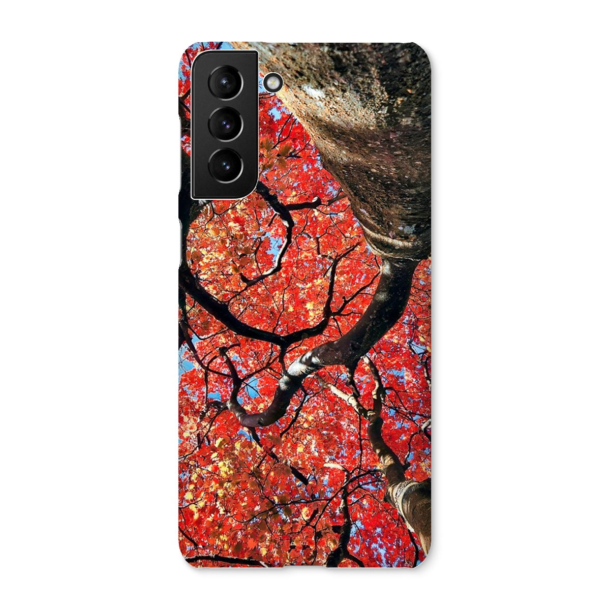 Autumn Blaze: Japanese Maple in Full Glory Snap Phone Case