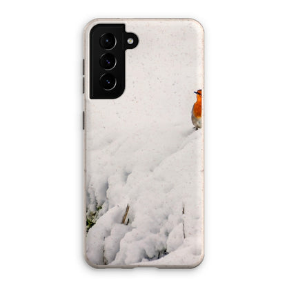 Robin in Winter Eco Phone Case