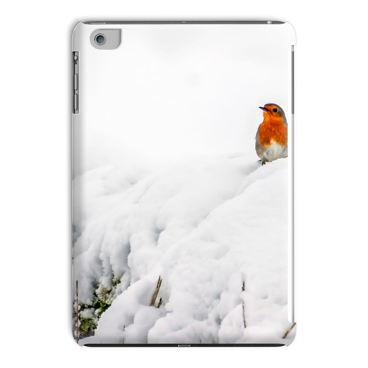 Robin in Winter Tablet Cases