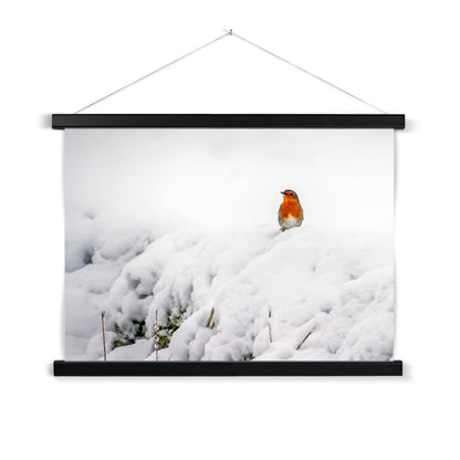 Robin in Winter Fine Art Print with Hanger