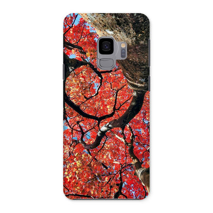Autumn Blaze: Japanese Maple in Full Glory Snap Phone Case