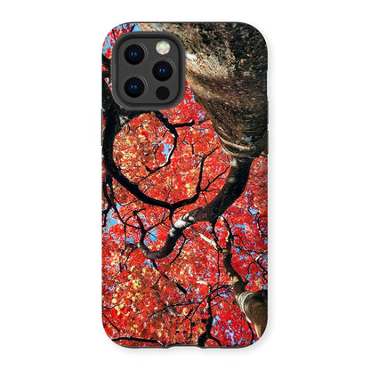 Autumn Blaze: Japanese Maple in Full Glory Tough Phone Case