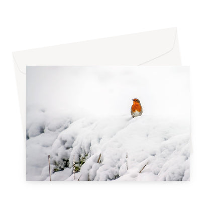 Robin in Winter Greeting Card