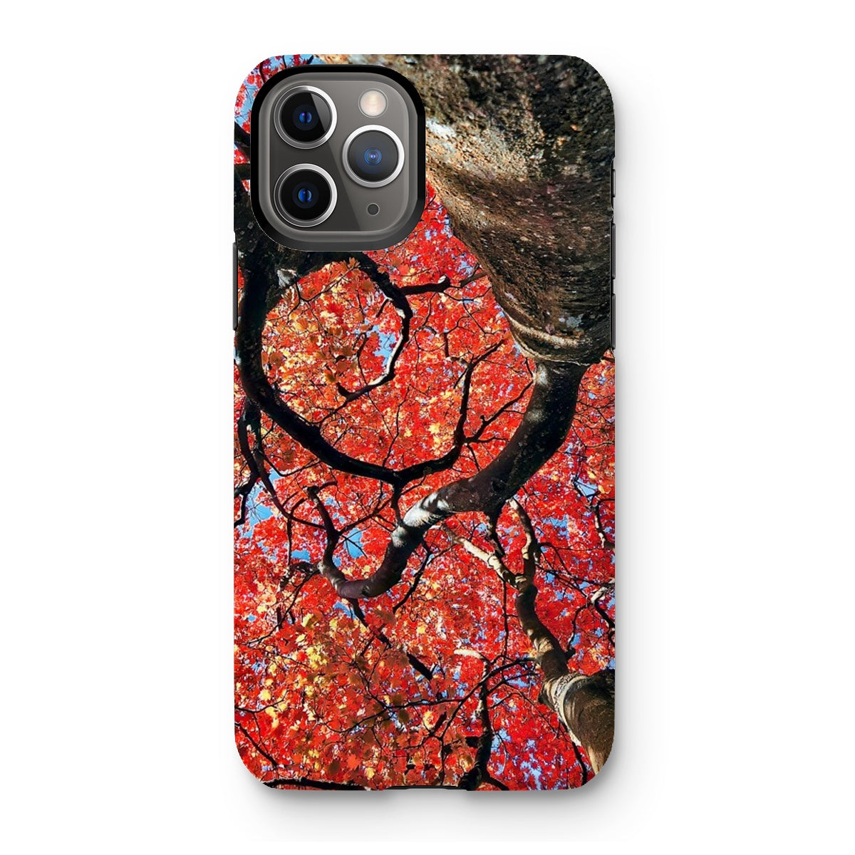 Autumn Blaze: Japanese Maple in Full Glory Tough Phone Case