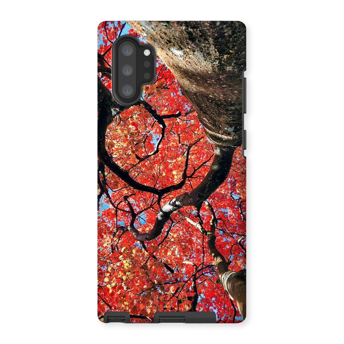 Autumn Blaze: Japanese Maple in Full Glory Tough Phone Case