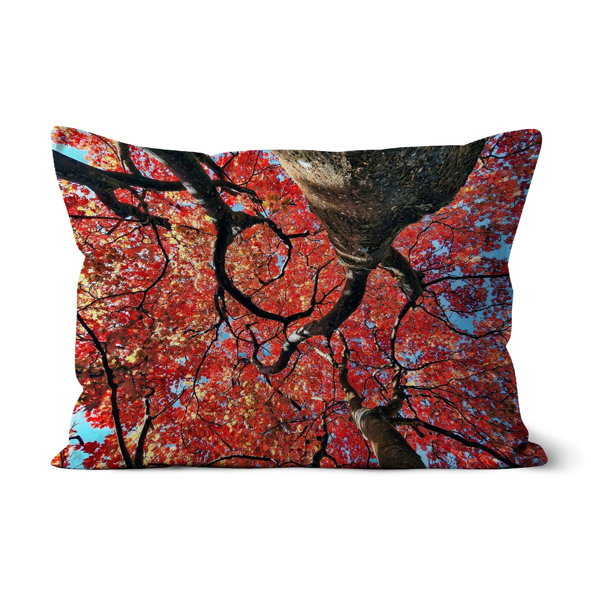 Autumn Blaze: Japanese Maple in Full Glory Cushion