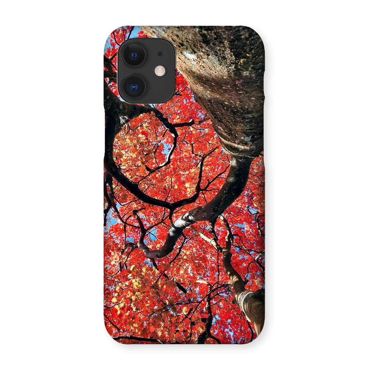 Autumn Blaze: Japanese Maple in Full Glory Snap Phone Case