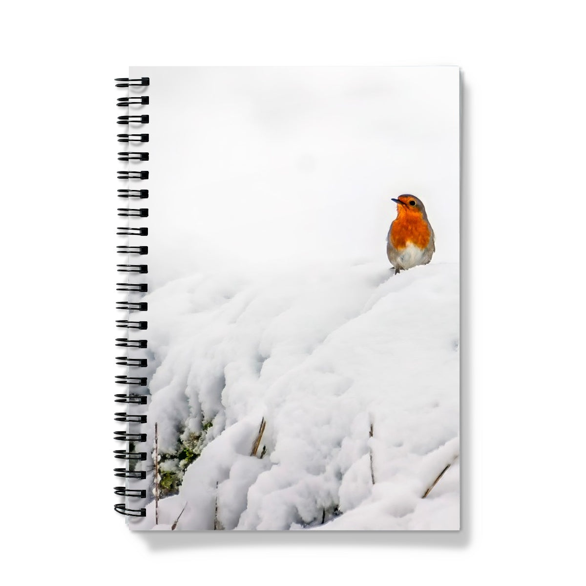 Robin in Winter Notebook